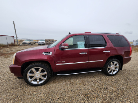 2010 Cadillac Escalade 